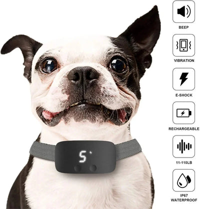 https://cdn.shopify.com/s/files/1/0647/9170/7830/files/collier-automatique-anti-aboiement-2170556.webp?v=1777924929