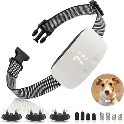 https://cdn.shopify.com/s/files/1/0647/9170/7830/files/collier-automatique-anti-aboiement-3542665.webp?v=1777924930