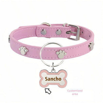 https://cdn.shopify.com/s/files/1/0647/9170/7830/files/collier-avec-medaille-pour-chien-6464274.webp?v=1777923376