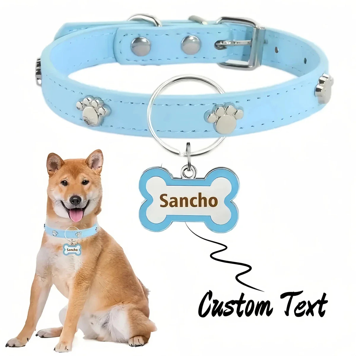 https://cdn.shopify.com/s/files/1/0647/9170/7830/files/collier-avec-medaille-pour-chien-7632858.webp?v=1777923375