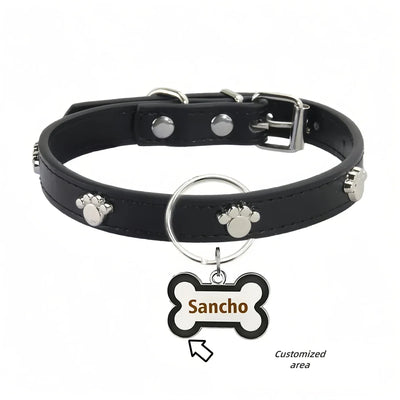 https://cdn.shopify.com/s/files/1/0647/9170/7830/files/collier-avec-medaille-pour-chien-9867503.webp?v=1777923375