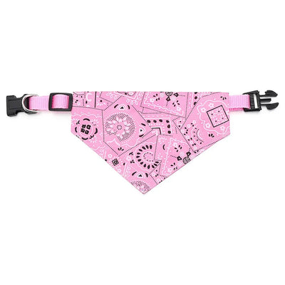 https://cdn.shopify.com/s/files/1/0647/9170/7830/files/collier-bandana-chiot-8332805.webp?v=1777923909