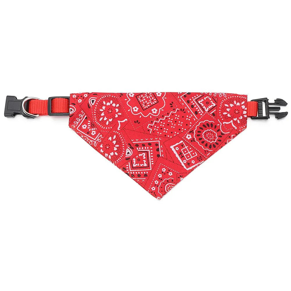 https://cdn.shopify.com/s/files/1/0647/9170/7830/files/collier-bandana-chiot-8898961.webp?v=1777923909