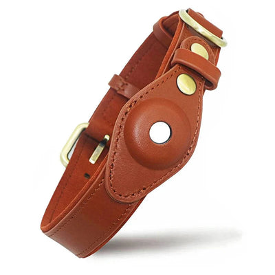 https://cdn.shopify.com/s/files/1/0647/9170/7830/files/collier-chien-airtag-cuir-8256126.webp?v=1777924331