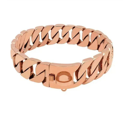 https://cdn.shopify.com/s/files/1/0647/9170/7830/files/collier-chien-chaine-non-etrangleur-4704190.webp?v=1777923619