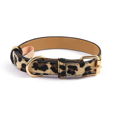 https://cdn.shopify.com/s/files/1/0647/9170/7830/files/collier-chien-chic-6316823.webp?v=1777923370