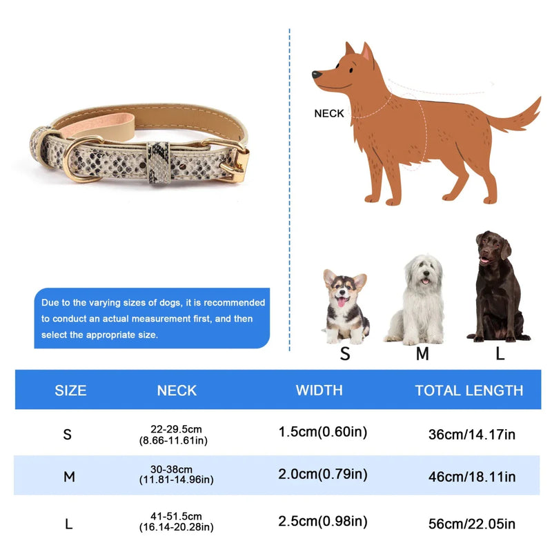 https://cdn.shopify.com/s/files/1/0647/9170/7830/files/collier-chien-chic-9642530.webp?v=1777923371