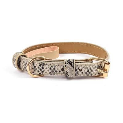https://cdn.shopify.com/s/files/1/0647/9170/7830/files/collier-chien-chic-9174565.webp?v=1777923370