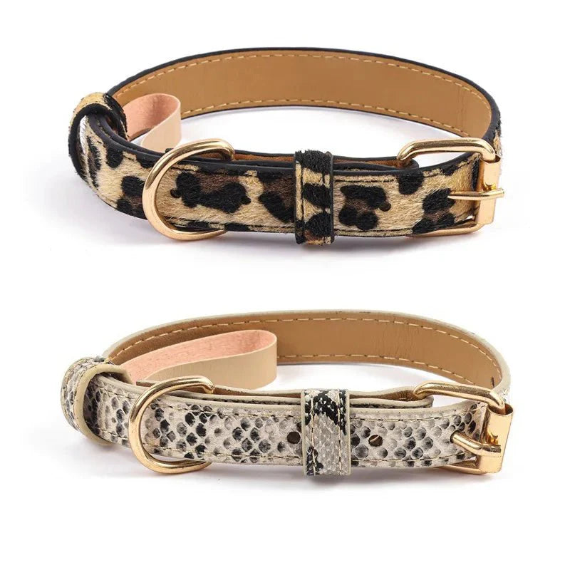 https://cdn.shopify.com/s/files/1/0647/9170/7830/files/collier-chien-chic-9642530.webp?v=1777923371