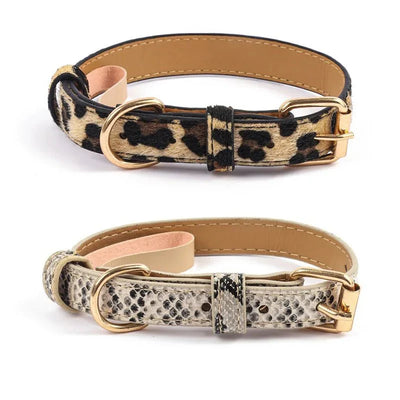 https://cdn.shopify.com/s/files/1/0647/9170/7830/files/collier-chien-chic-9642530.webp?v=1777923371
