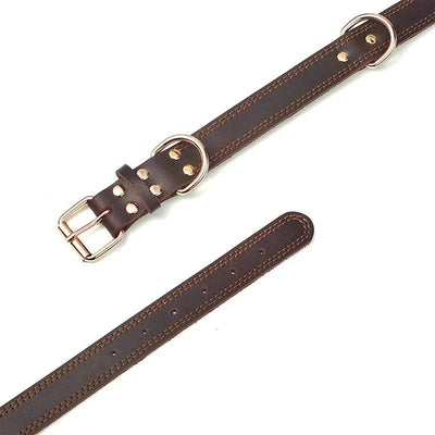 https://cdn.shopify.com/s/files/1/0647/9170/7830/files/collier-chien-cuir-haut-de-gamme-3316949.webp?v=1777923373