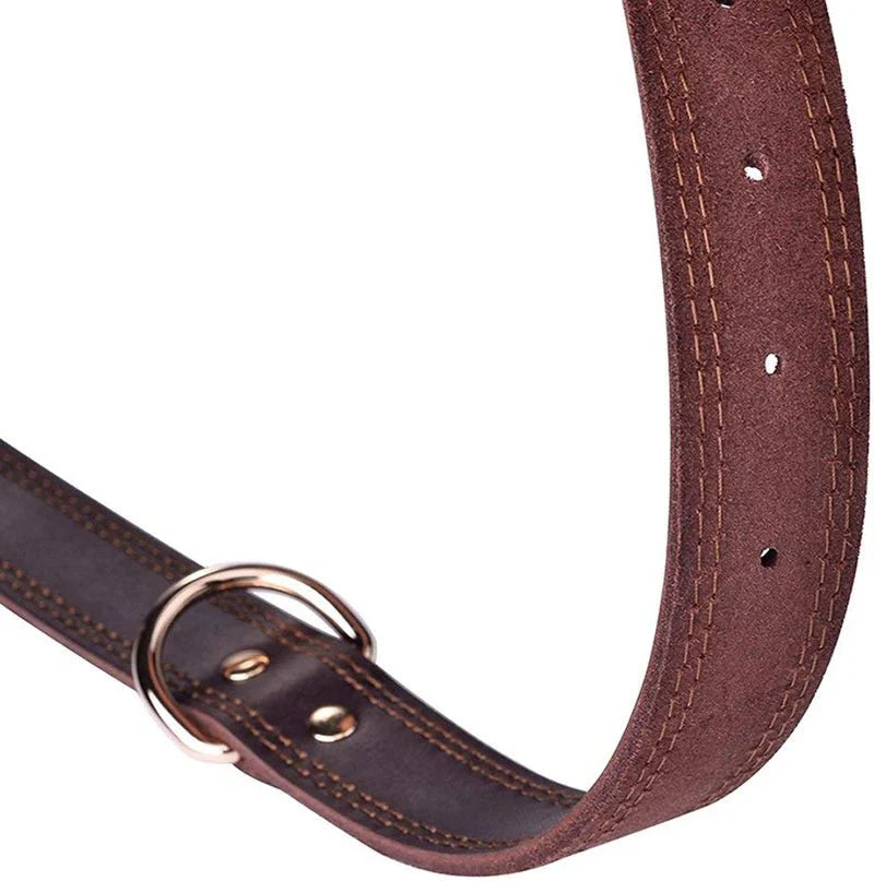 https://cdn.shopify.com/s/files/1/0647/9170/7830/files/collier-chien-cuir-haut-de-gamme-5803779.webp?v=1777923373