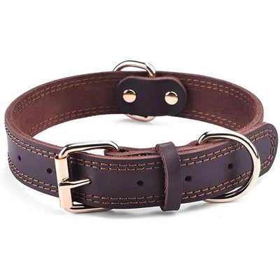 https://cdn.shopify.com/s/files/1/0647/9170/7830/files/collier-chien-cuir-haut-de-gamme-5803779.webp?v=1777923373