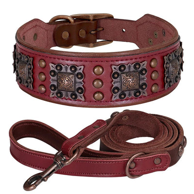 https://cdn.shopify.com/s/files/1/0647/9170/7830/files/collier-chien-cuir-large-5779036.webp?v=1777923370