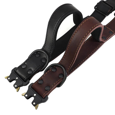 https://cdn.shopify.com/s/files/1/0647/9170/7830/files/collier-chien-cuir-luxe-5361430.webp?v=1777923550
