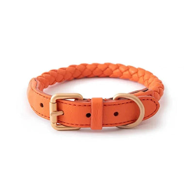 https://cdn.shopify.com/s/files/1/0647/9170/7830/files/collier-chien-cuir-rond-4639924.webp?v=1777923309
