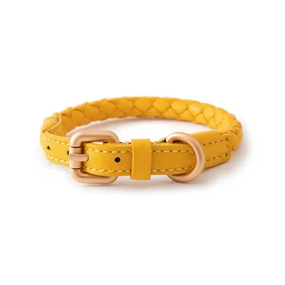 https://cdn.shopify.com/s/files/1/0647/9170/7830/files/collier-chien-cuir-rond-6968572.webp?v=1777923309