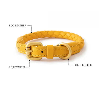 https://cdn.shopify.com/s/files/1/0647/9170/7830/files/collier-chien-cuir-rond-8768228.webp?v=1777923309