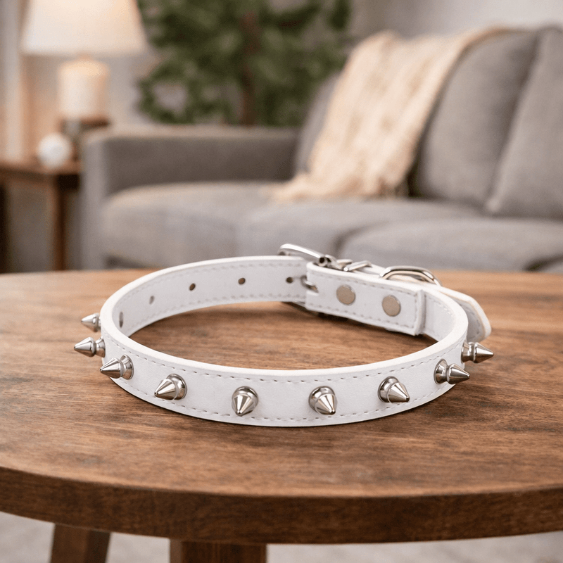 https://cdn.shopify.com/s/files/1/0647/9170/7830/files/collier-chien-cuir-noir-5786795.webp?v=1777924989