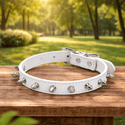 https://cdn.shopify.com/s/files/1/0647/9170/7830/files/collier-chien-cuir-rouge-1716736.png?v=1777925113