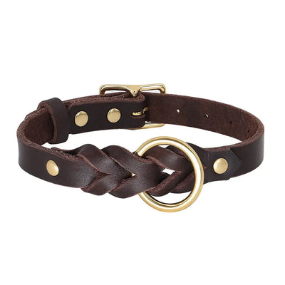 https://cdn.shopify.com/s/files/1/0647/9170/7830/files/collier-chien-cuir-tresse-2947911.webp?v=1777923907