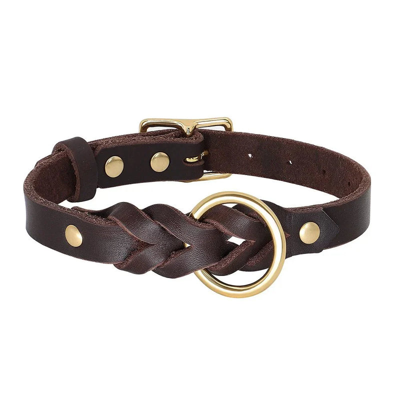 https://cdn.shopify.com/s/files/1/0647/9170/7830/files/collier-chien-cuir-tresse-8389470.webp?v=1777923907