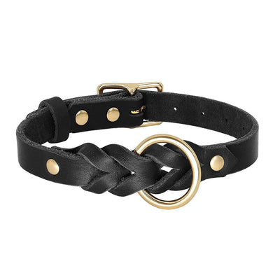 https://cdn.shopify.com/s/files/1/0647/9170/7830/files/collier-chien-cuir-tresse-8389470.webp?v=1777923907