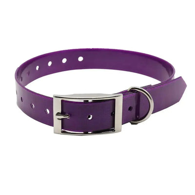 https://cdn.shopify.com/s/files/1/0647/9170/7830/files/collier-chien-de-chasse-5435034.webp?v=1777923372