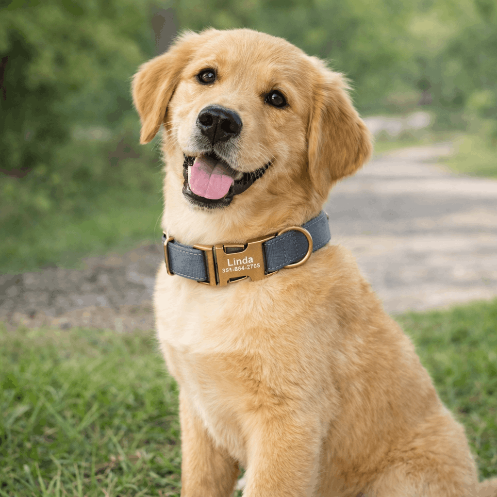 https://cdn.shopify.com/s/files/1/0763/9767/4819/files/collier-chien-grave.png?v=1769013570