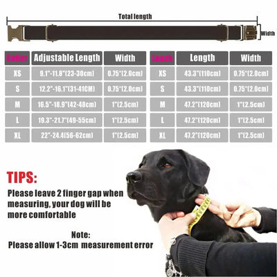 https://cdn.shopify.com/s/files/1/0647/9170/7830/files/collier-chien-leopard-5512402.webp?v=1777923067