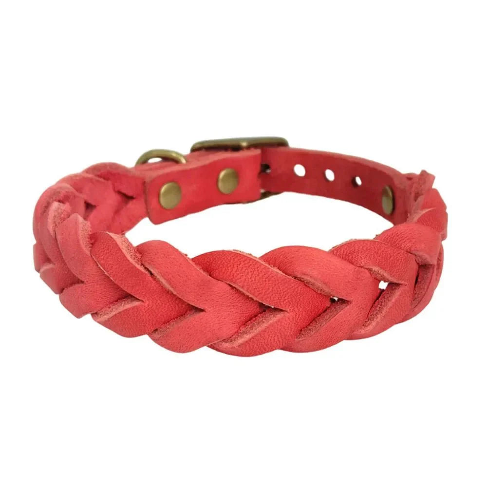 https://cdn.shopify.com/s/files/1/0647/9170/7830/files/collier-chien-rouge-cuir-1497149.webp?v=1777923608