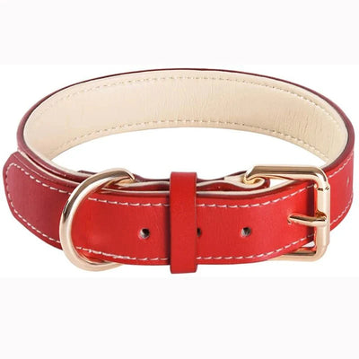 https://cdn.shopify.com/s/files/1/0647/9170/7830/files/collier-chien-rouge-en-cuir-4529235.webp?v=1777923375