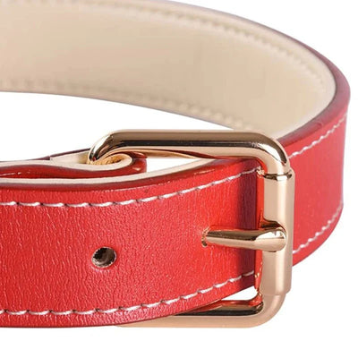 https://cdn.shopify.com/s/files/1/0647/9170/7830/files/collier-chien-rouge-en-cuir-8729869.webp?v=1777923375