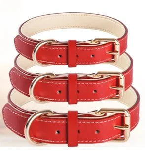 https://cdn.shopify.com/s/files/1/0647/9170/7830/files/collier-chien-rouge-en-cuir-9259744.webp?v=1777923374