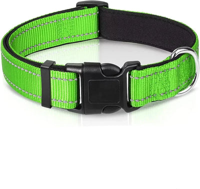 https://cdn.shopify.com/s/files/1/0647/9170/7830/files/collier-chien-securite-4339581.webp?v=1777923608