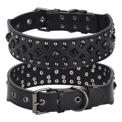 https://cdn.shopify.com/s/files/1/0647/9170/7830/files/collier-chien-solide-4240194.webp?v=1777923370