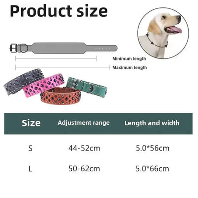 https://cdn.shopify.com/s/files/1/0647/9170/7830/files/collier-chien-solide-7050231.webp?v=1777923371