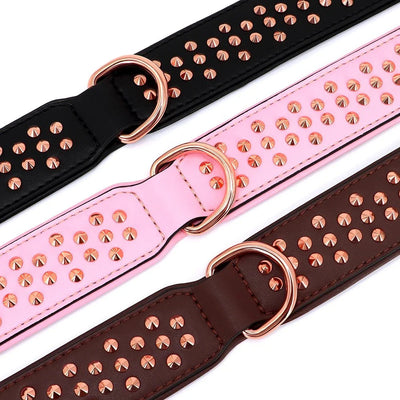 https://cdn.shopify.com/s/files/1/0647/9170/7830/files/collier-chien-tendance-3346235.webp?v=1777923434