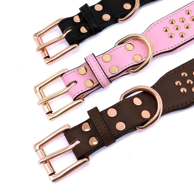 https://cdn.shopify.com/s/files/1/0647/9170/7830/files/collier-chien-tendance-4864562.webp?v=1777923434