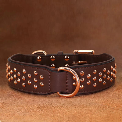 https://cdn.shopify.com/s/files/1/0647/9170/7830/files/collier-chien-tendance-6764254.webp?v=1777923433
