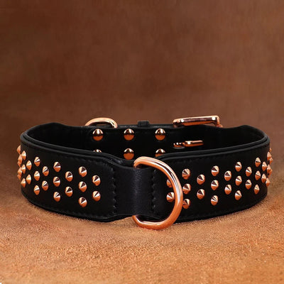 https://cdn.shopify.com/s/files/1/0647/9170/7830/files/collier-chien-tendance-7804700.webp?v=1777923434