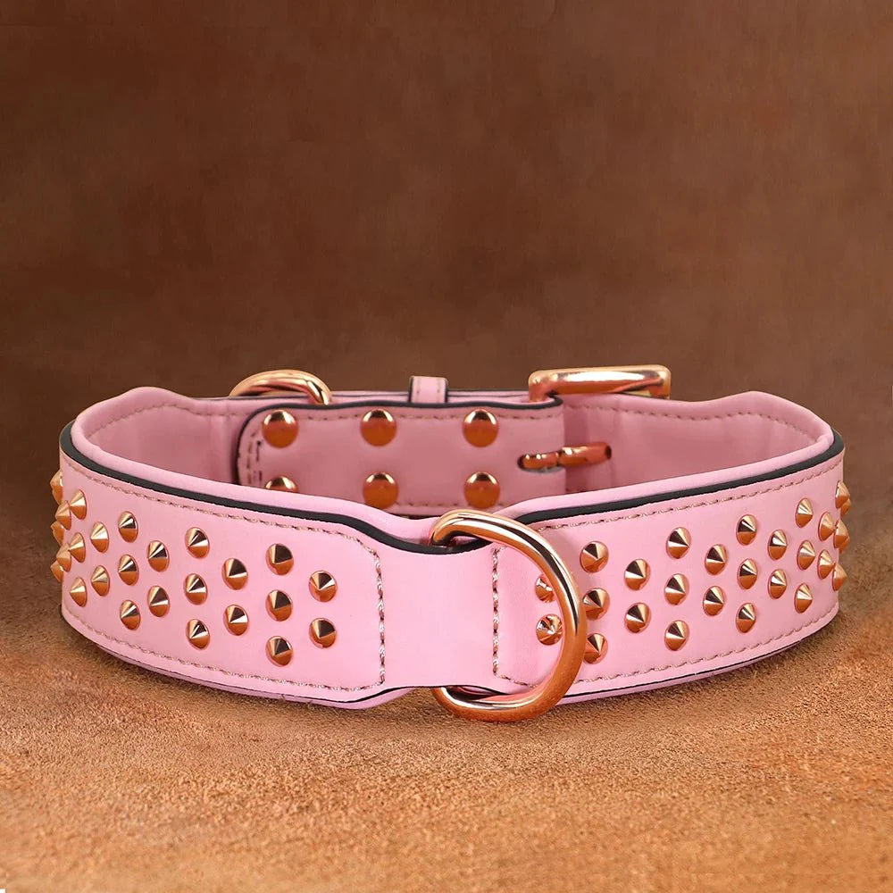 https://cdn.shopify.com/s/files/1/0647/9170/7830/files/collier-chien-tendance-9810780.webp?v=1777923435