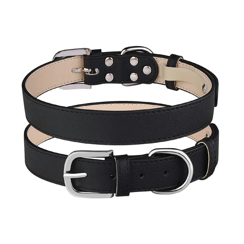 https://cdn.shopify.com/s/files/1/0647/9170/7830/files/collier-chiot-1161378.webp?v=1777925592
