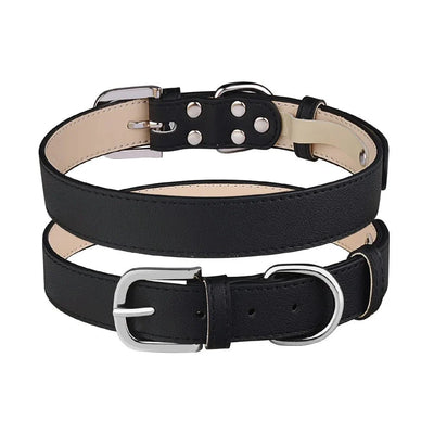 https://cdn.shopify.com/s/files/1/0647/9170/7830/files/collier-chiot-1161378.webp?v=1777925592