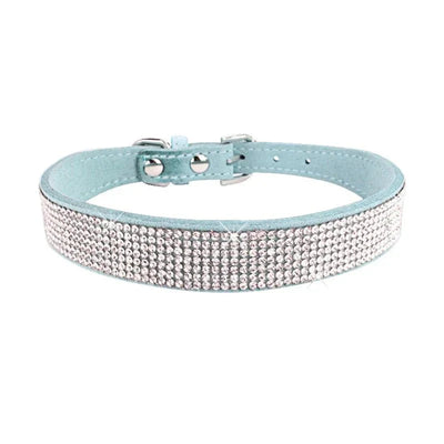 https://cdn.shopify.com/s/files/1/0647/9170/7830/files/collier-chiot-2-mois-1096385.webp?v=1777925414