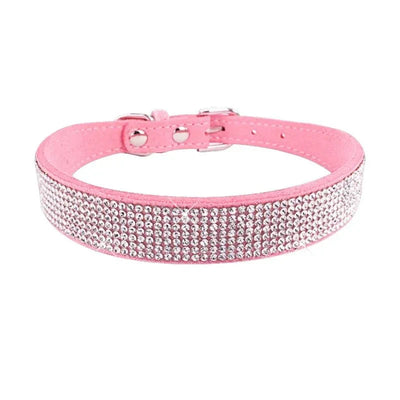 https://cdn.shopify.com/s/files/1/0647/9170/7830/files/collier-chiot-2-mois-3737793.webp?v=1777925414
