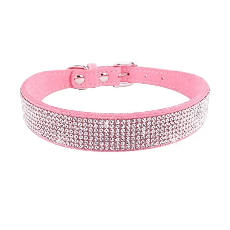https://cdn.shopify.com/s/files/1/0647/9170/7830/files/collier-chiot-2-mois-4242436.webp?v=1777925415