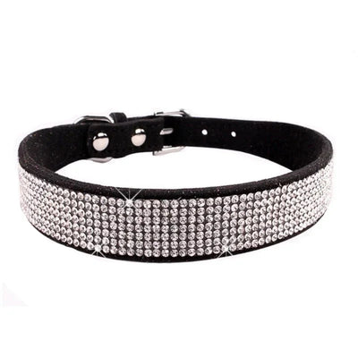https://cdn.shopify.com/s/files/1/0647/9170/7830/files/collier-chiot-2-mois-3904937.webp?v=1777925415