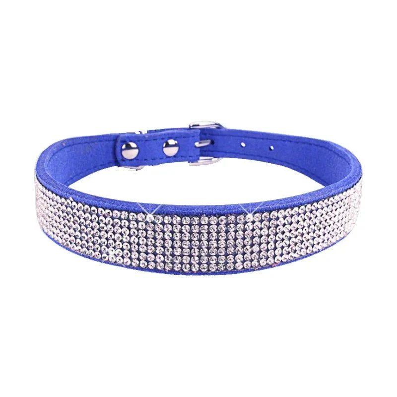 https://cdn.shopify.com/s/files/1/0647/9170/7830/files/collier-chiot-2-mois-4242436.webp?v=1777925415