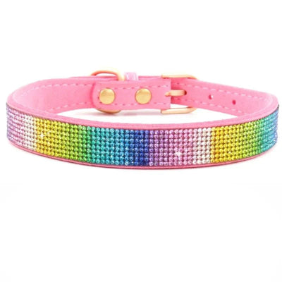 https://cdn.shopify.com/s/files/1/0647/9170/7830/files/collier-chiot-2-mois-5379936.webp?v=1777925416